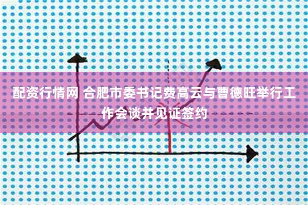 配资行情网 合肥市委书记费高云与曹德旺举行工作会谈并见证签约