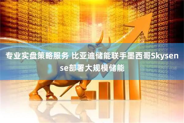 专业实盘策略服务 比亚迪储能联手墨西哥Skysense部署大规模储能