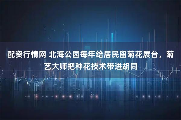 配资行情网 北海公园每年给居民留菊花展台，菊艺大师把种花技术带进胡同