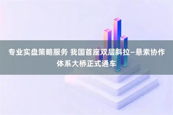 专业实盘策略服务 我国首座双层斜拉—悬索协作体系大桥正式通车