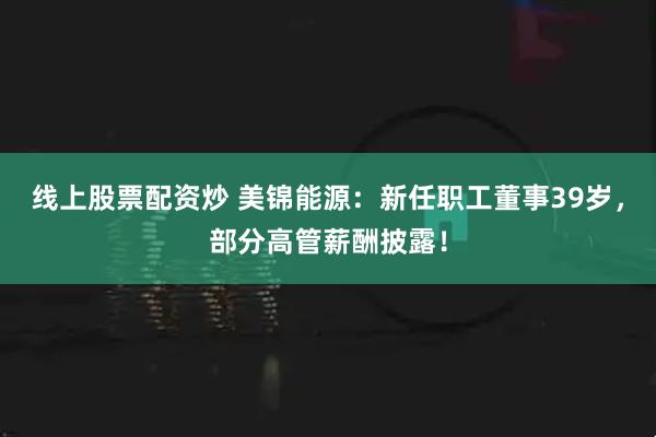 线上股票配资炒 美锦能源：新任职工董事39岁，部分高管薪酬披露！