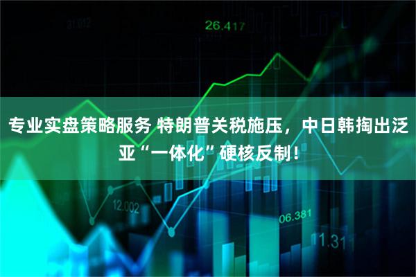专业实盘策略服务 特朗普关税施压，中日韩掏出泛亚“一体化”硬核反制！