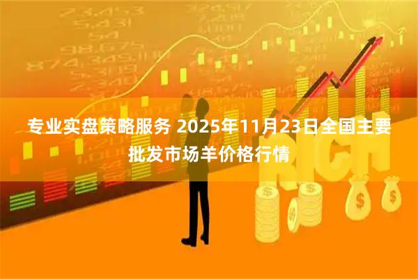 专业实盘策略服务 2025年11月23日全国主要批发市场羊价格行情