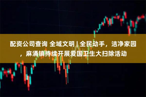 配资公司查询 全域文明 | 全民动手，洁净家园，麻涌镇持续开展爱国卫生大扫除活动