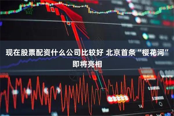 现在股票配资什么公司比较好 北京首条“樱花河”即将亮相