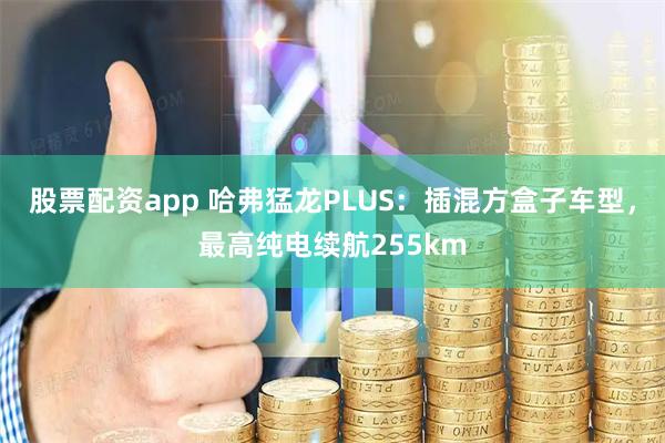 股票配资app 哈弗猛龙PLUS：插混方盒子车型，最高纯电续航255km